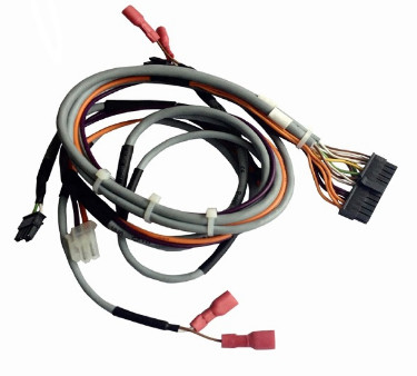 3mm 24 Pin Wire Harness And Cable de Bedrading van Assemblagemolex Bot